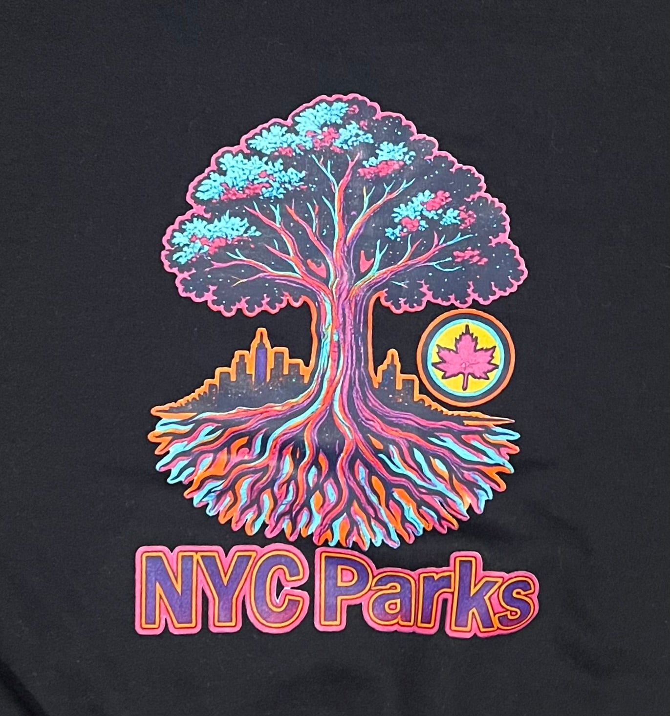 Neon NYC Parks Hoodie