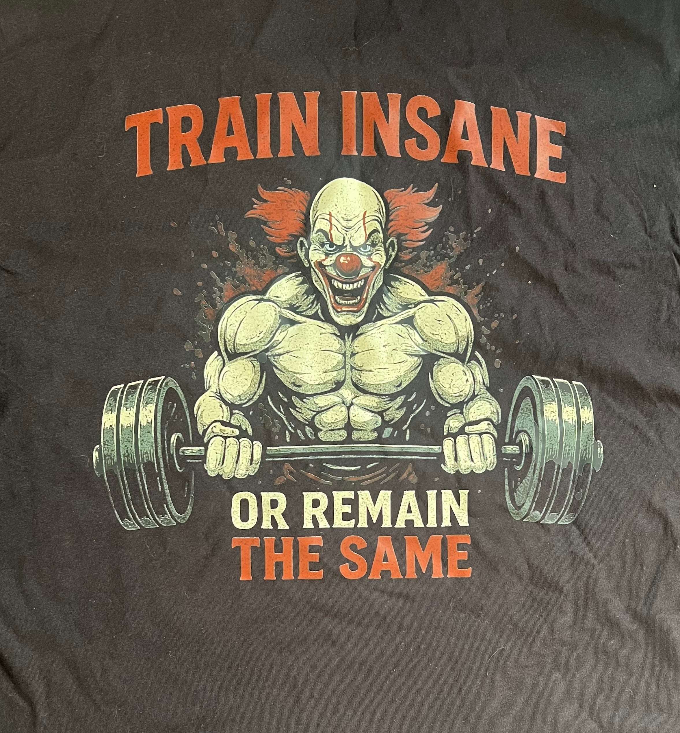 Train Insane Hoodie